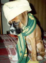 HEIDI