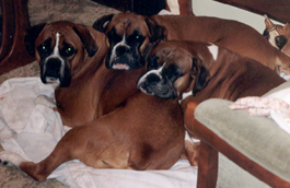 JAMIE, ZOE, ZETA