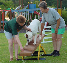 Polly on the seesaw