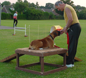 Rio tackles the table